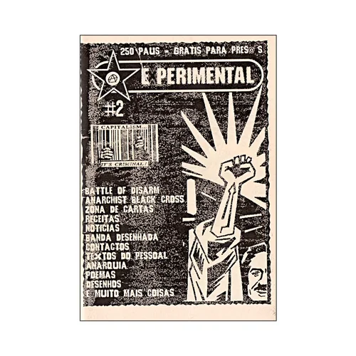 EXPERIMENTAL #2