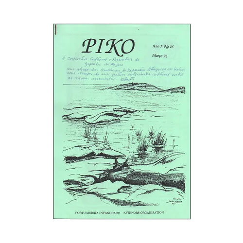 PIKO A:VII #25