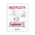MULTIPLICITY