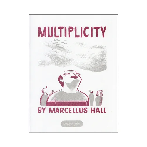 MULTIPLICITY