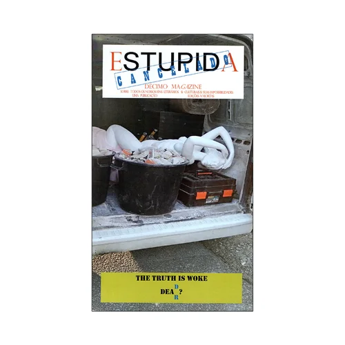 ESTUPIDA #10