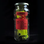 JAMZINE I