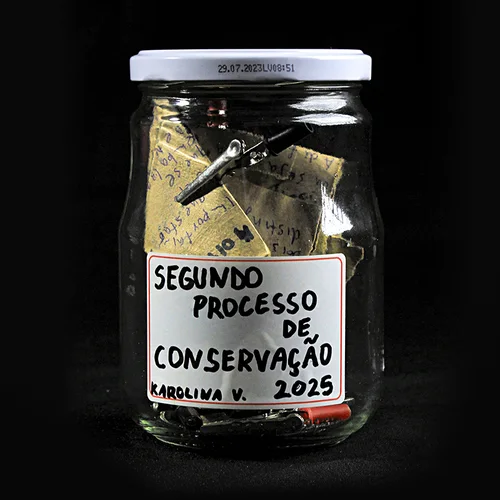 SEGUNDO PROCESSO DE CONSERVAÇÃO