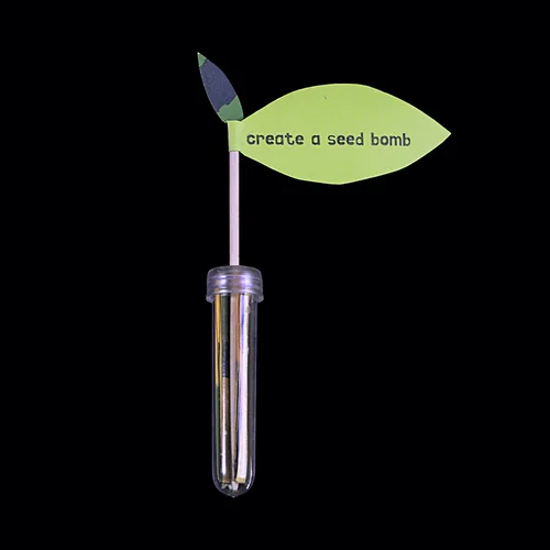 CREATE A SEED BOMB
